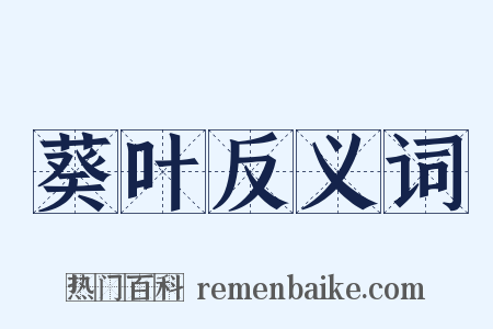 葵叶反义词是什么意思的图片